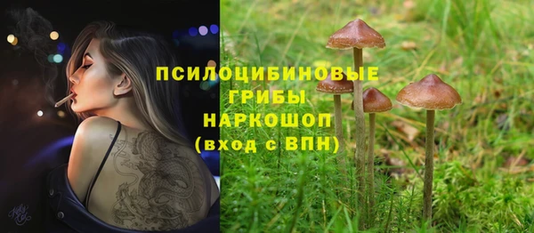 гашиш Аркадак