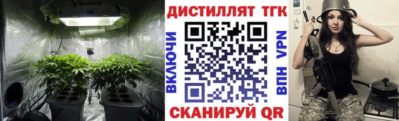 ТГК Wax  Городище 