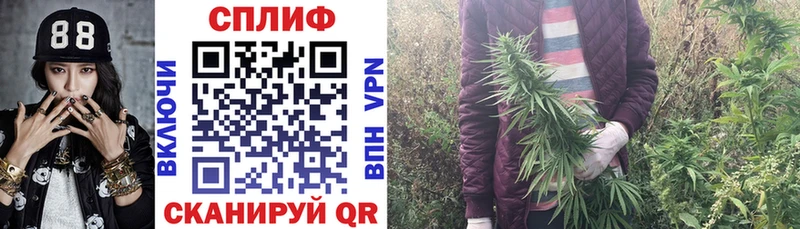 Бошки марихуана план  дарк нет клад  Городище  ОМГ ОМГ зеркало 